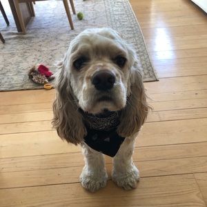 Meet your Posher, Jolie